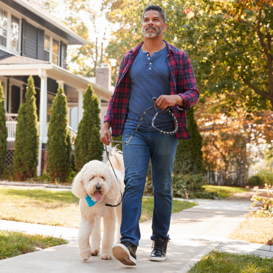 A man walks his dog outside. 