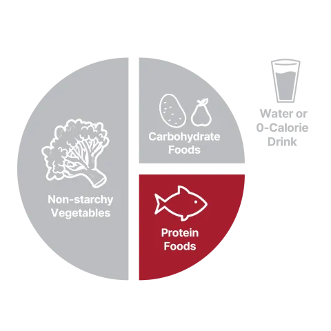 Protein foods graphic on plate