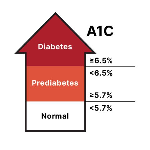 Arrow showing A1C levels for diabetes, prediabetes, and normal